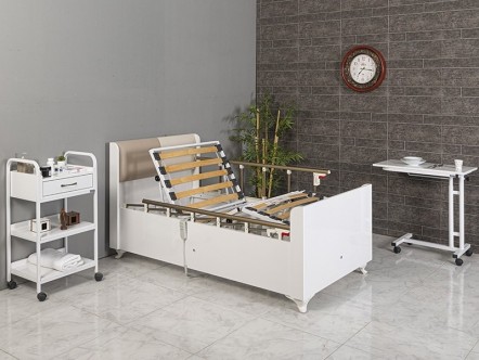 Luna 2 Motorlu Ev Tipi Hasta Karyolası | MC-1031
