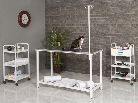 Veteriner Ameliyat Masası - Eko | MC-2101