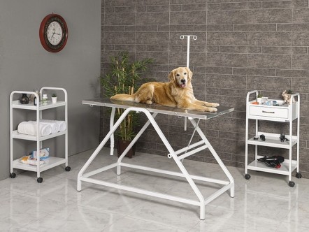 Veteriner Ameliyat Masası - Veteriner Operasyon Masası | MC-2102