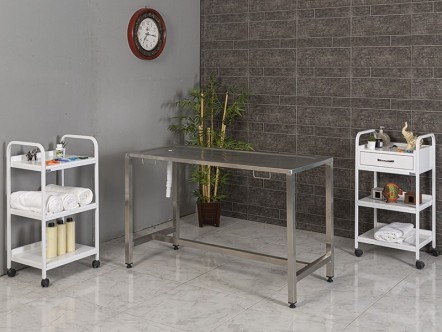 Komple Paslanmaz Veteriner Ameliyat & Operasyon Masası | MC-2112