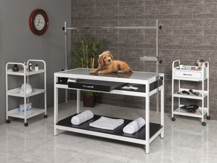 Veteriner Röntgen X-Ray Masası | MC-2202