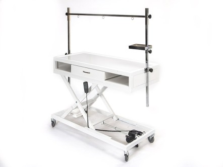 Veteriner Röntgen X-Ray Masası | MC-2203