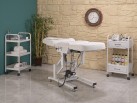 Diamond | Sırt, Ayak ve Yükseklik Hareketli Koltuk | MC-3012