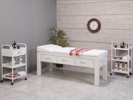 Truva | Sırt Hareketli Bakım ve Muayene Masası | MC-3153