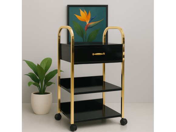 Sofia Gold Tek Çekmeceli 2 Raflı Dövme Setup Masası | MC-5031