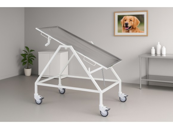 Paslanmaz Veteriner Ameliyat ve Operasyon Masası | MC-2303