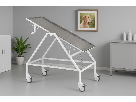 Paslanmaz Veteriner Ameliyat ve Operasyon Masası | MC-2303