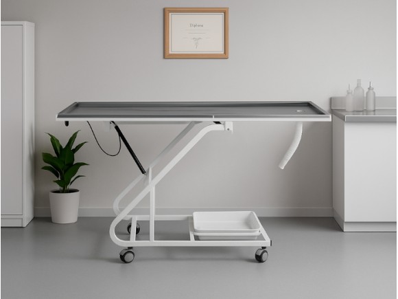 Paslanmaz Veteriner Ameliyat ve Operasyon Masası | MC-2304