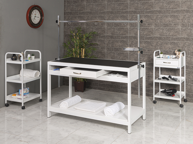 veteriner muayene pet bakım masası