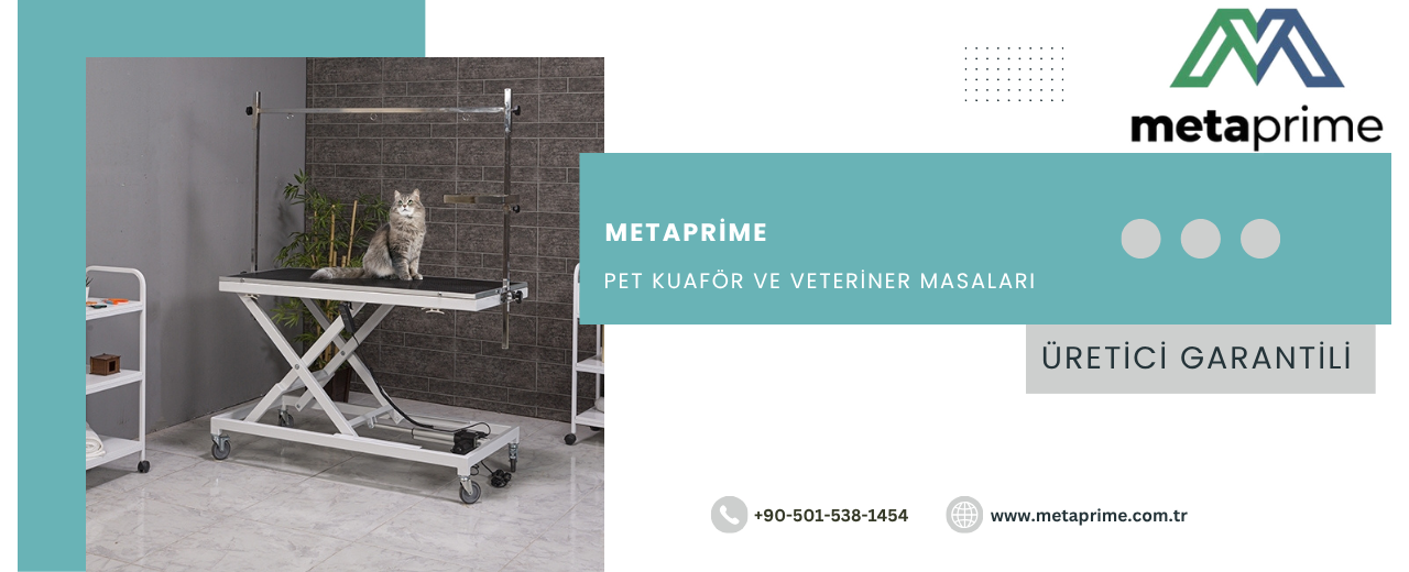 Veteriner Masası: Muayene, Bakım ve Klinik Kullanım İçin Profesyonel Rehber