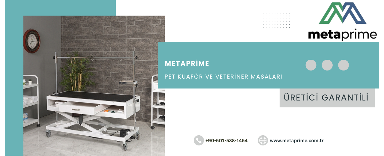 Veteriner Muayene Masası Nedir? Modeller, Ölçüler, Fiyatlar ve Klinik Önemi
