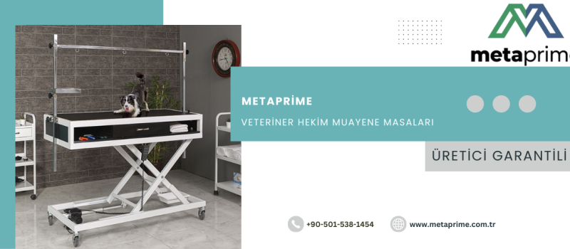Veteriner Masası: Profesyonel Klinikler İçin En Dayanıklı Veteriner Muayene Masası Modelleri