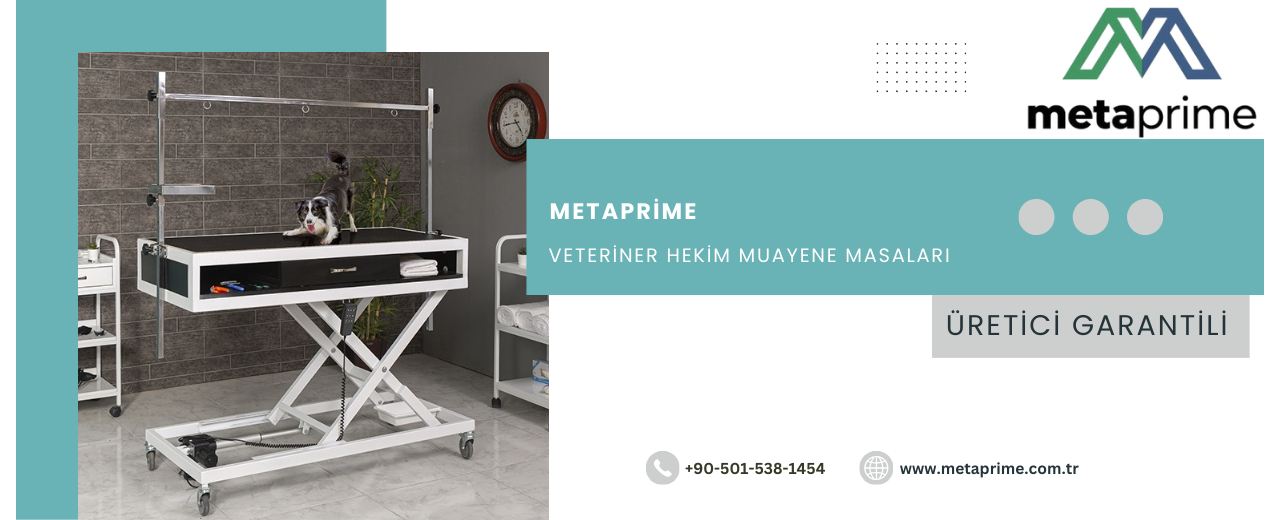 Veteriner Masası: Profesyonel Klinikler İçin En Dayanıklı Veteriner Muayene Masası Modelleri