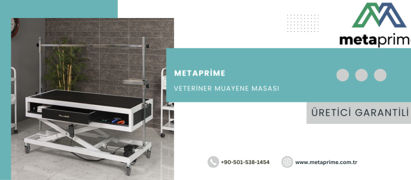 Veteriner Muayene Masası: Klinik Güvenliği, Hayvan Davranışı ve Doğru Yatırımın Görünmeyen Etkisi