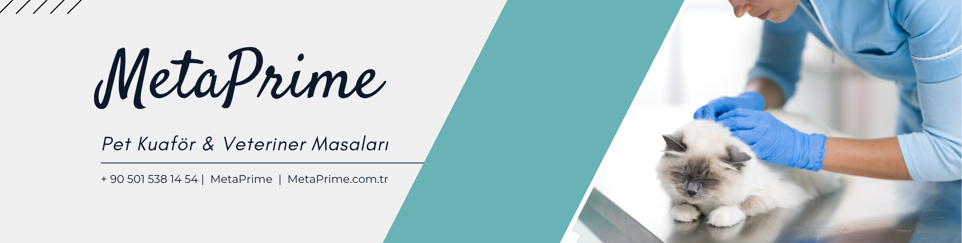 MetaPrime Veteriner ve Pet Kuaför Masası